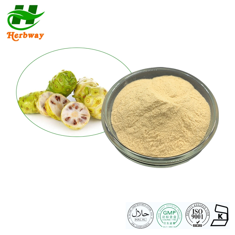Herbway Herbal Extract Kosher Halal Fssc HACCP Certified Noni Fruit Extract Noni Powder