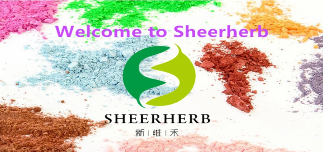 Sheerherb Factory Direct Sale Hydrolyzed Wheat Protein CAS. 70084-87-6