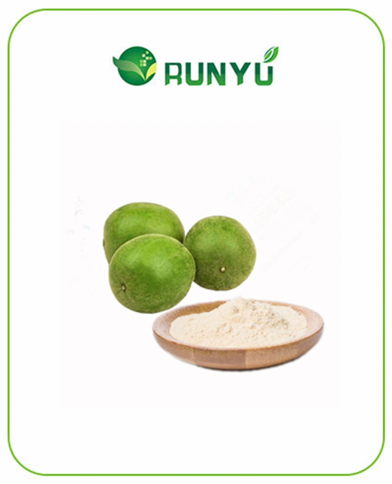 Supply Best Price Monk Fruit Extract Powder Luo Han Guo P. E. Mogrosides Mogroside V