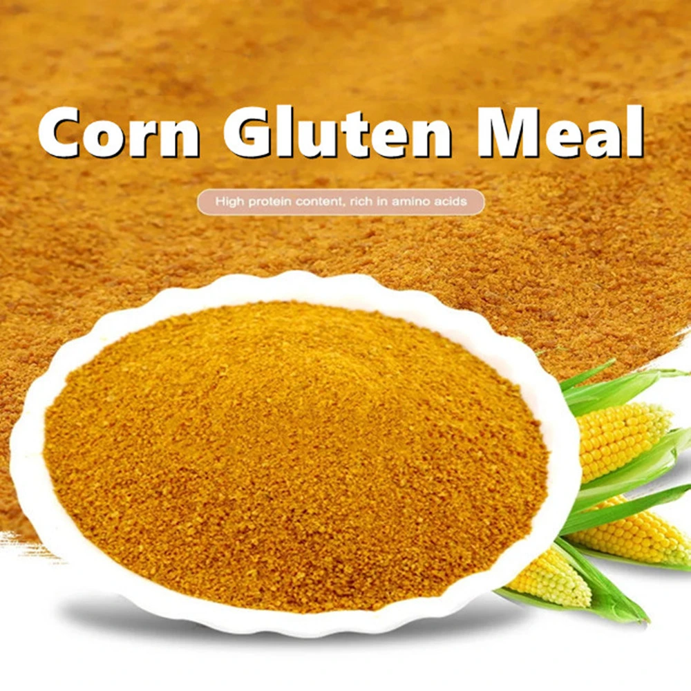 High Corn Gluten Meal/Protein Corn Meal/ 60% Corn Gluten Feed/Maize Protein Powder