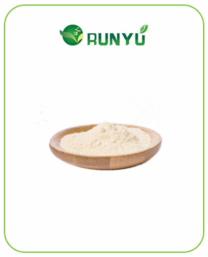 Supply Best Price Monk Fruit Extract Powder Luo Han Guo P. E. Mogrosides Mogroside V