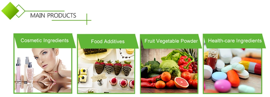 Free Sample Non-GMO Food Grade Nutrition Supplement Textured EU Organic Pea Protein