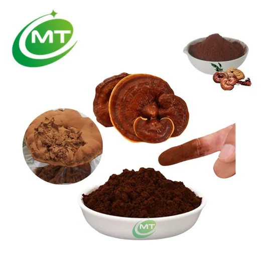 Ganoderma Lucidum Reishi Mushroom Extract Supplement Anti Oxidative